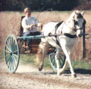 horse and cart