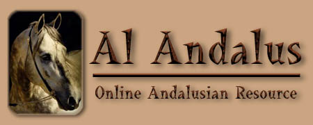 Welcome to Al Andalus - The Online Resource for Andalusian Horses