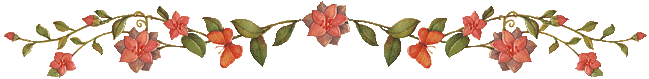 bvine2.gif - 18.1 K
